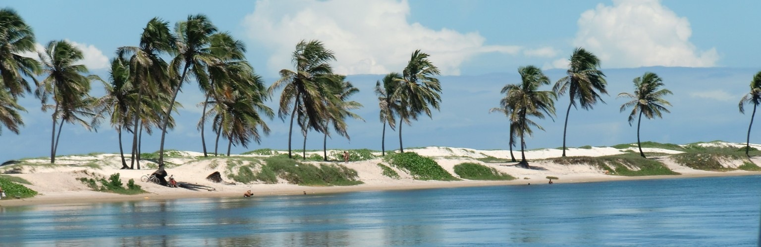 Palmeninsel bei Salvador in Brasilien